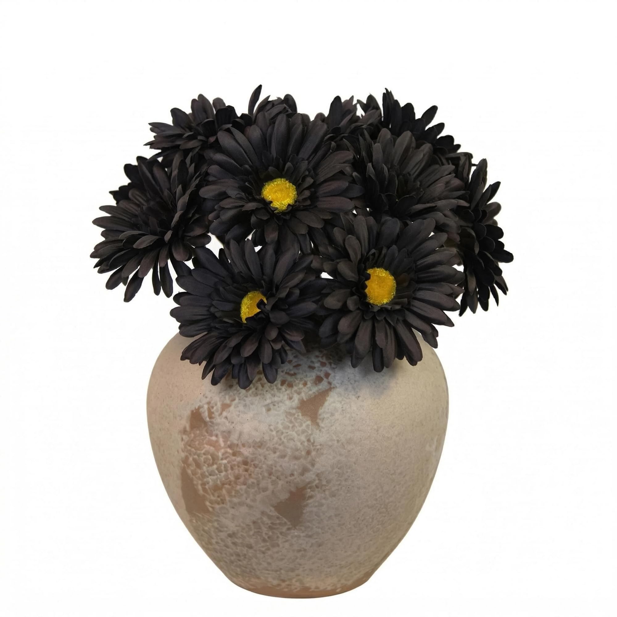 Amazon.com: TOPIA Artificial African Daisies Flowers African Daisy